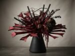 Agave 200 g