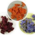 Felii de lufa elice - 20buc