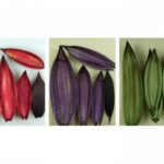 Barcute decorative 11 buc