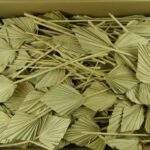 Frunze de palmier mini 200buc
