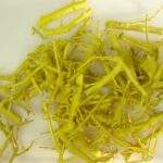 Crengi decorative ,0,25kg