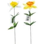 Narcisa la fir 45 cm