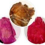 Scoarta de palmier 1