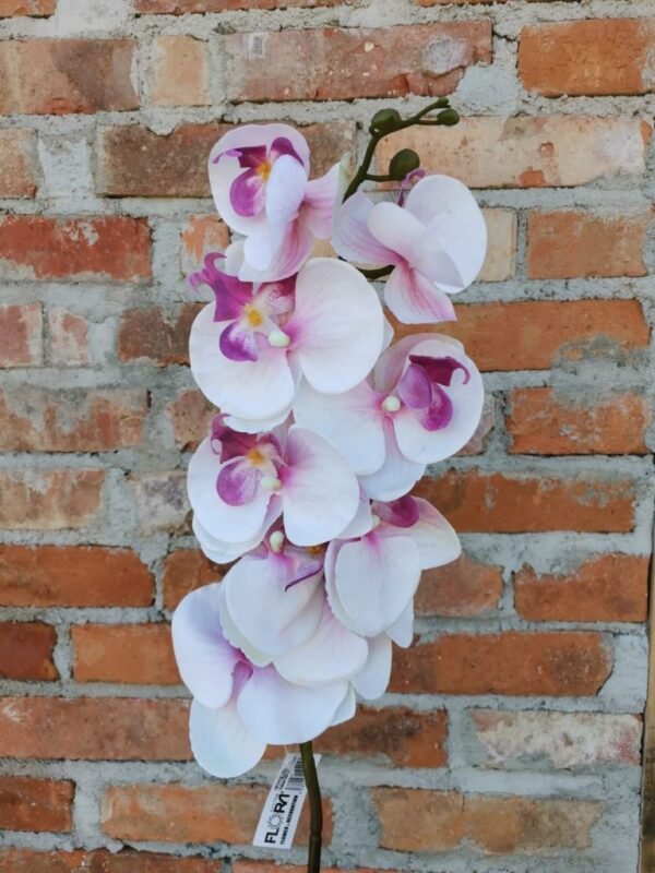 Orhidee 97 cm