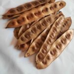 Albezia pastai 35 buc