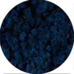 Licheni norvegieni albastru clasic 84