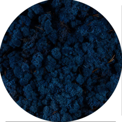 Licheni norvegieni albastru clasic 84