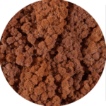 Licheni norvegieni mango 73