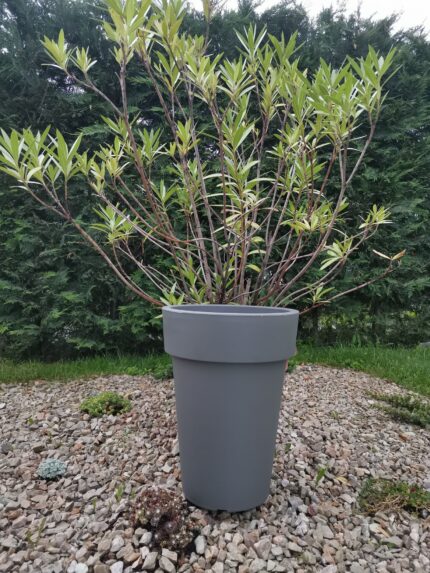 Ghiveci lofly slim 52 cm