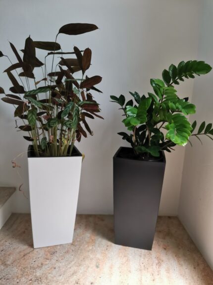 Ghiveci inalt urbi square 45 cm