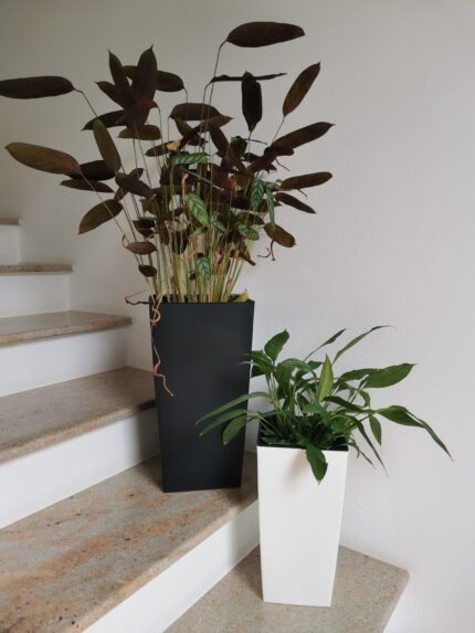 Ghiveci urbi square 2 in 1