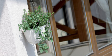 Ghiveci cu agatatoare 24 cm