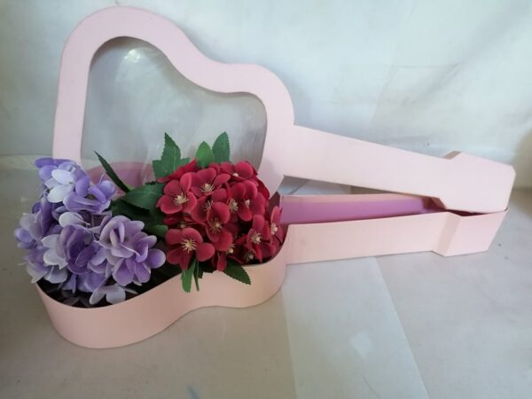 Cutie informa de chitara -