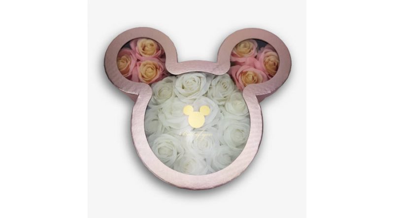 Cutie Mickey -