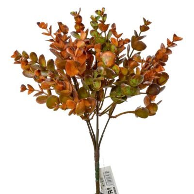 Frunze eucalipt 28 cm