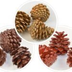 Conuri cerate 7buc/pachet