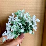 Verdeata cu floricele albe si sclipici