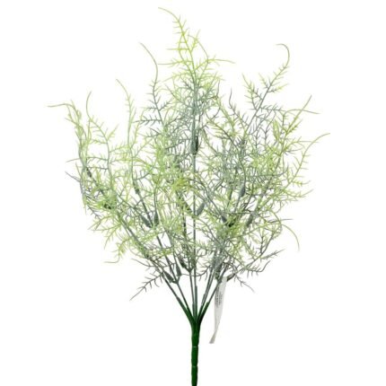 Buchet asparagus 35 cm