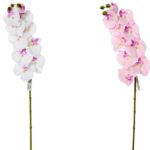 Orhidee la fir 77 cm