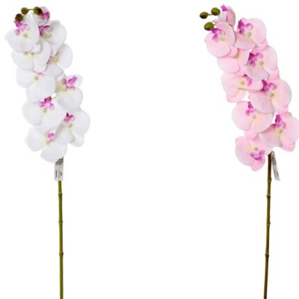 Orhidee la fir 77 cm