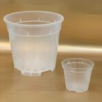 Recipient orhidee 1 buc