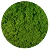 Licheni norvegieni Green Light 79