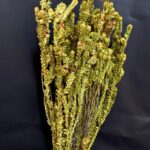 Mini-ferigă naturală 150 gr