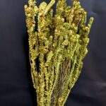 Mini-ferigă naturală 150 gr