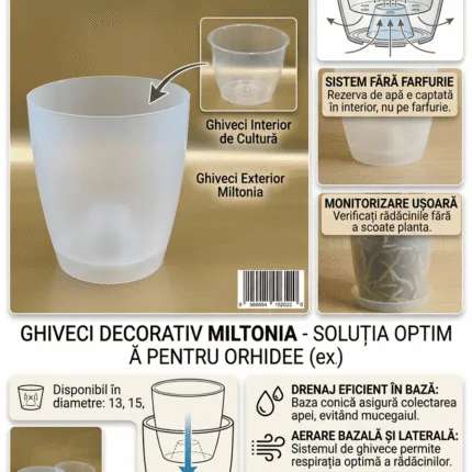 Miltonia Ghiveci + masca din plastic