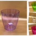 Ghiveci Miltonia Crystal 163