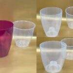 Miltonia Ghiveci + masca din plastic