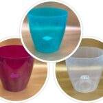 Ghiveci Miltonia 163 mm