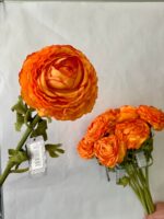 Ranunculus la fir artificial 50cm