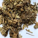 Muschi de copac 100 gr