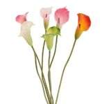 Cale din silicon 1 fir