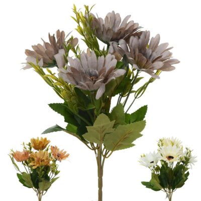 Gerbera
