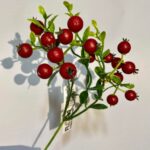 Creanga de macese 20cm