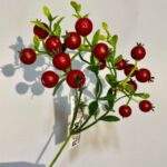 Creanga de macese 20cm