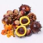 Mixt de toamna artificial 15 buc