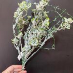 Buchet nins de verdeata 40cm