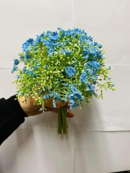 Gypsophila albastra 27cm
