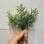 Crenguta verdeata 21cm