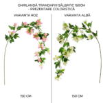 Ghirlanda trandafir salbatic 150cm
