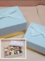 Set cutii velvet alb