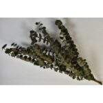 Eucalipt spiral 150 gr