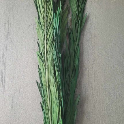 Frunza de palmier subtire