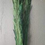 Frunza de palmier subtire