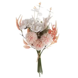 Ciorchine de papadie din Florida