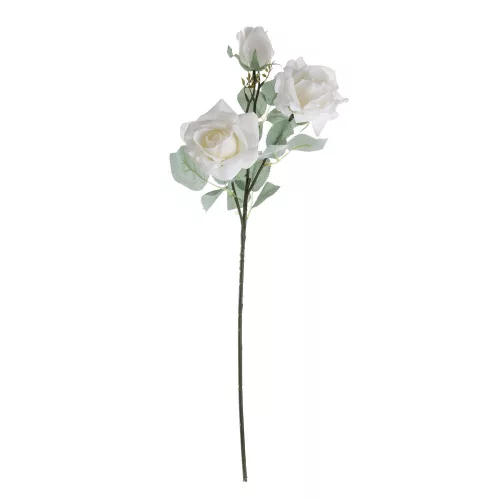 Trandafir cu 3 capete alb