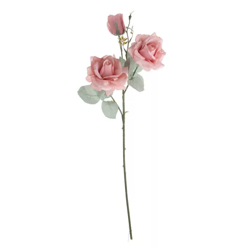 Trandafir cu 3 capete roz